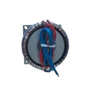 TRTDY-C Power Frequency Toroidal Transformer Power 30W-3000W
