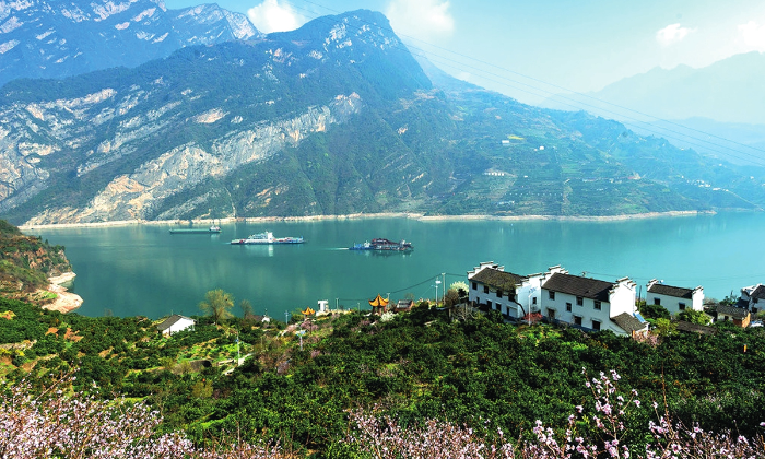 Three Gorges Dam dedicated to fish, plant conservation since before construction, as ecology and dam building go hand in hand-1