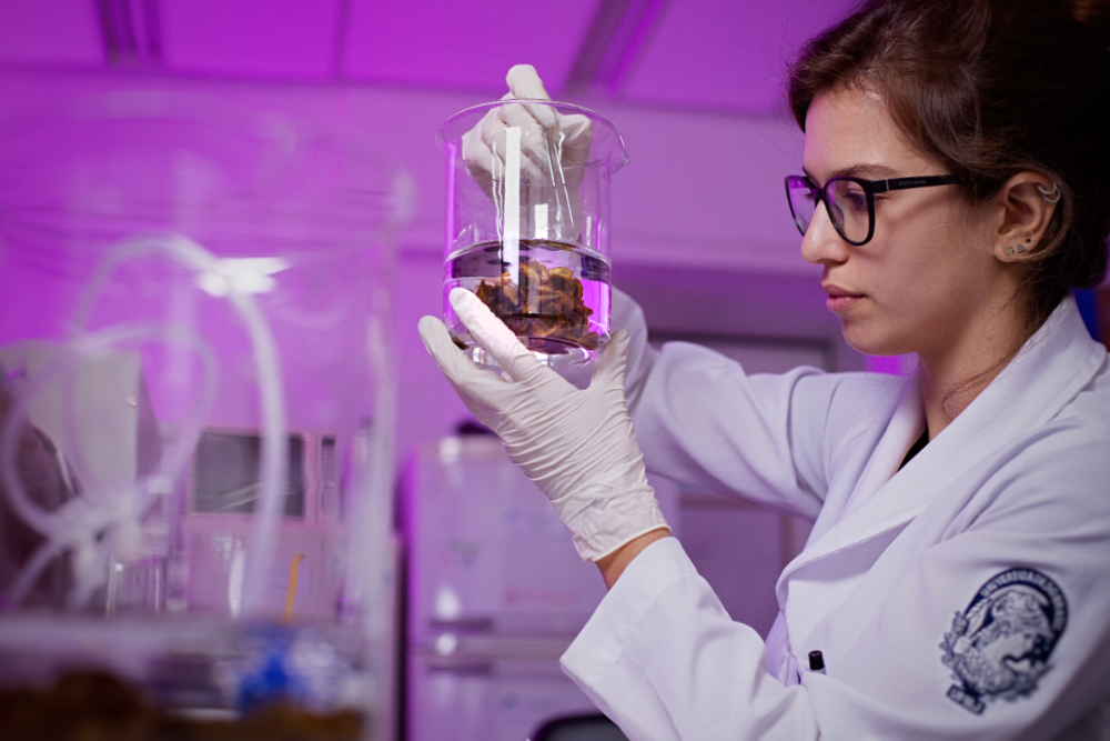 和合共生谱新篇——三峡集团“十四五”时期国际化发展纪实-3