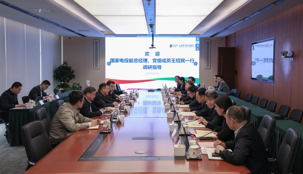王绍民到上海电力调研-1