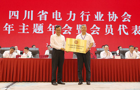 Yang Kun attended the 2020 theme annual meeting of Sichuan Electric Power Industry Association-2