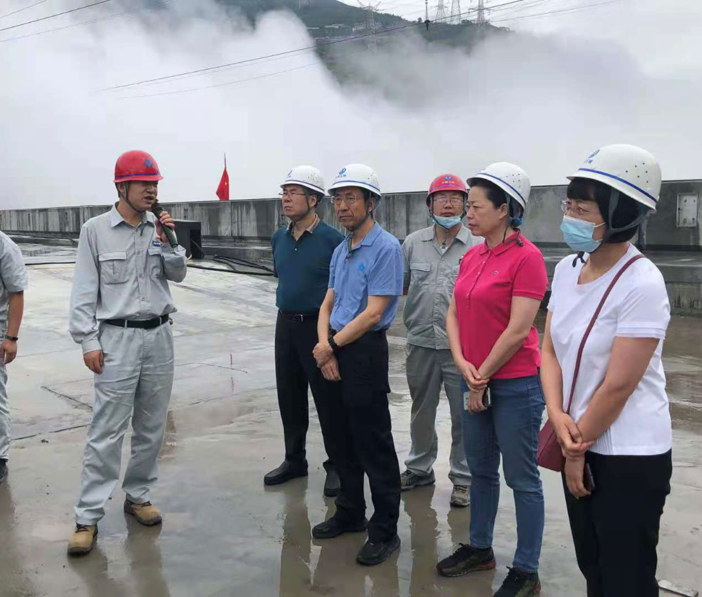 Xia Zhong Led a Team to Visit the Member Companies of Hydropower and Clean Energy Industries-1