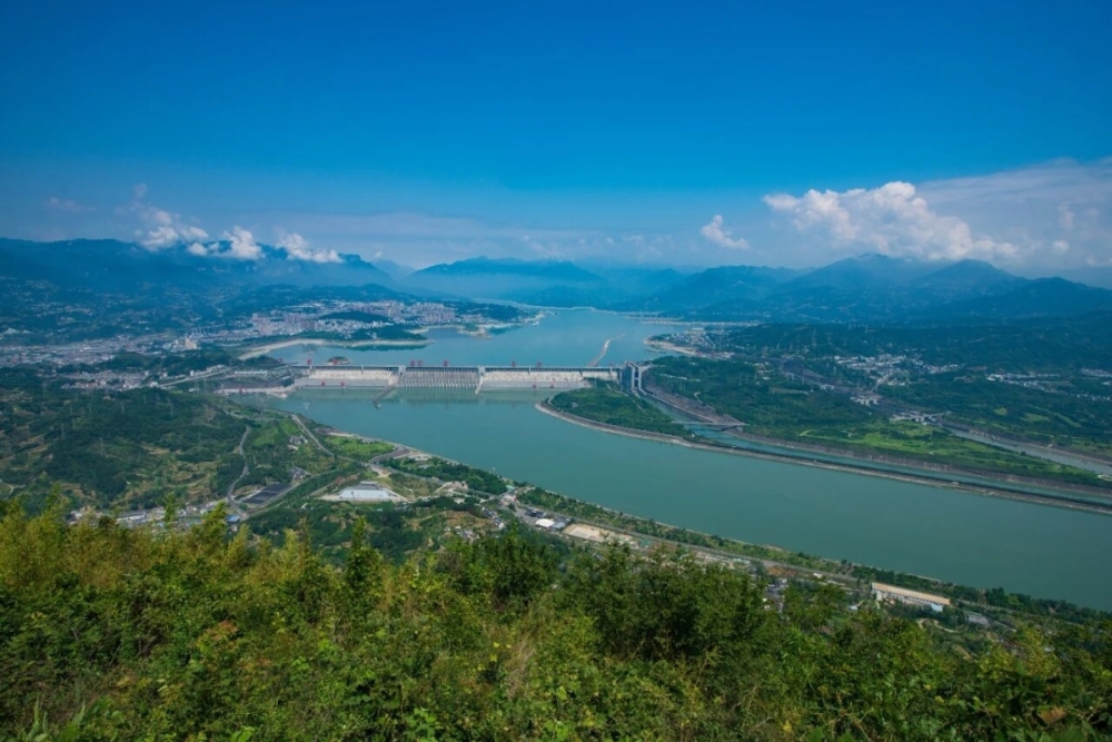 跨越80年的“回信”-11