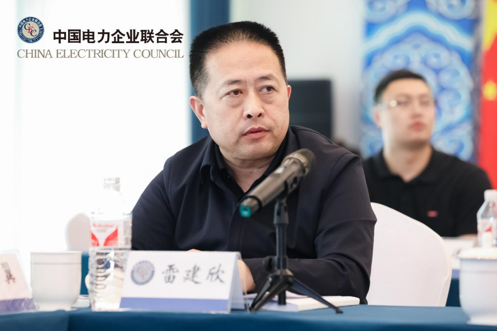 “柔性架构源网荷储一体化系统实施方案可行性研究-4