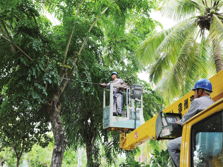 Effective & Immediate Measures Taken by CSG Engineers Against Typhoons-3