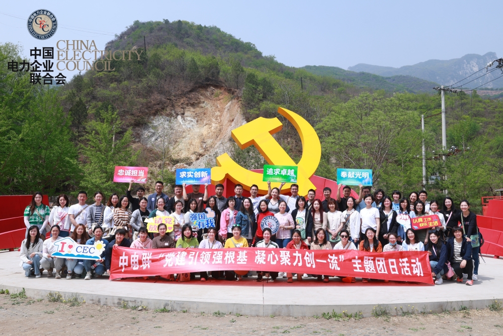 中电联开展“党建引领强根基、凝心聚力创一流”主题团日活动-1