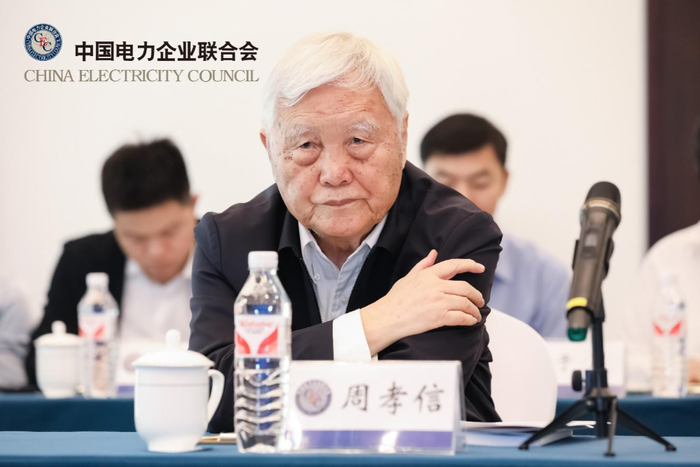 “柔性架构源网荷储一体化系统实施方案可行性研究-3