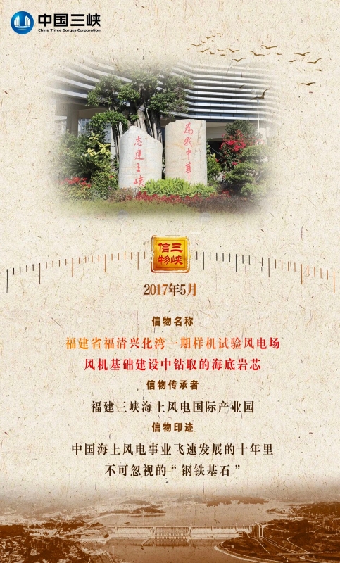 从荒芜滩涂到全球领跑,“海上大国重器”在这里孕育-1