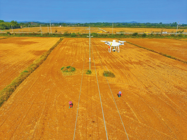 Enabled by Technology, Beautiful Pictures of Spring Plowing are Drawn-7