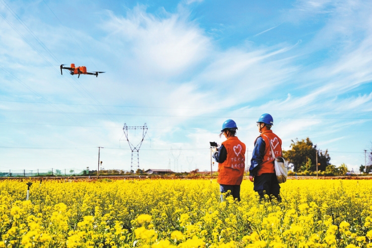 Enabled by Technology, Beautiful Pictures of Spring Plowing are Drawn-5