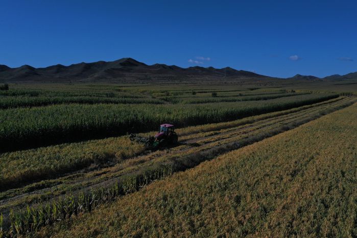 CTG helps Inner Mongolian farmers increase income with advanced agri-tech-1