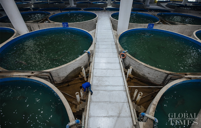 Three Gorges Dam dedicated to fish, plant conservation since before construction, as ecology and dam building go hand in hand-3