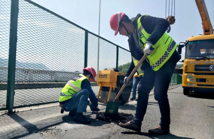 Daily traffic of Three Gorges-dedicated roads exceeds 10,000 trips in 2019-1