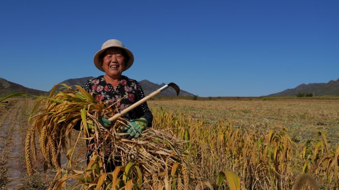 CTG helps Inner Mongolian farmers increase income with advanced agri-tech-2