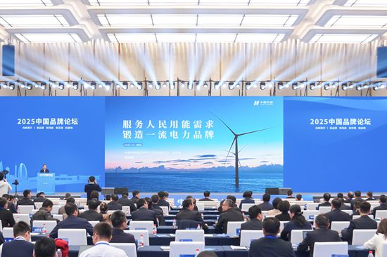 张文峰出席2025中国品牌论坛并作主旨发言-1