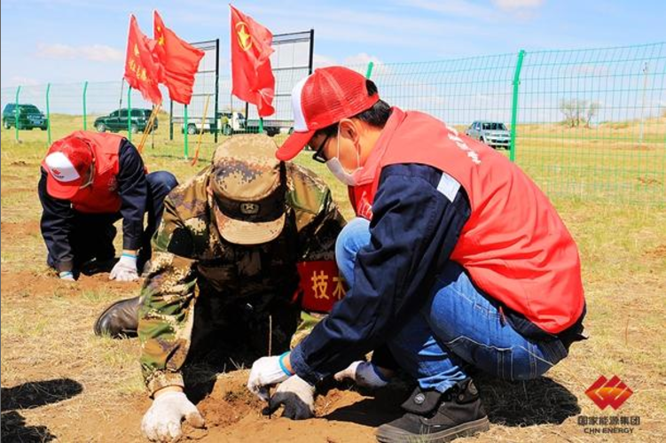 Shenhua Baorixile Energy Company Plants Seedlings with Herders as an Effort of Targeted Poverty Alleviation-1