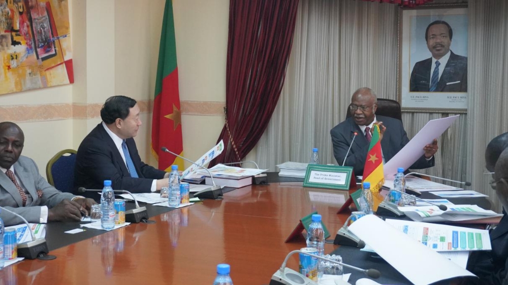Liu Zhenya Visits Cameroon Promoting the Development of African Energy Interconnection-1
