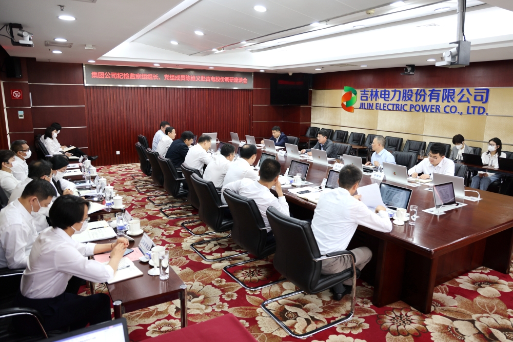 陈维义到吉电股份调研-2