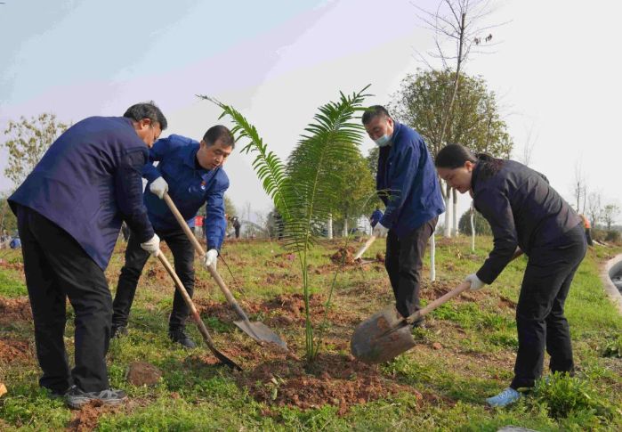 1300 Rare plants find refuge in Three Gorges Dam area-1