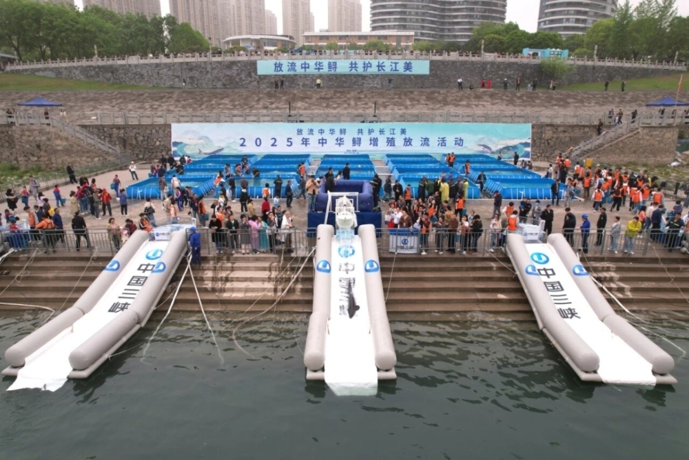 三峡工程交出“十四五”硬核答卷-6