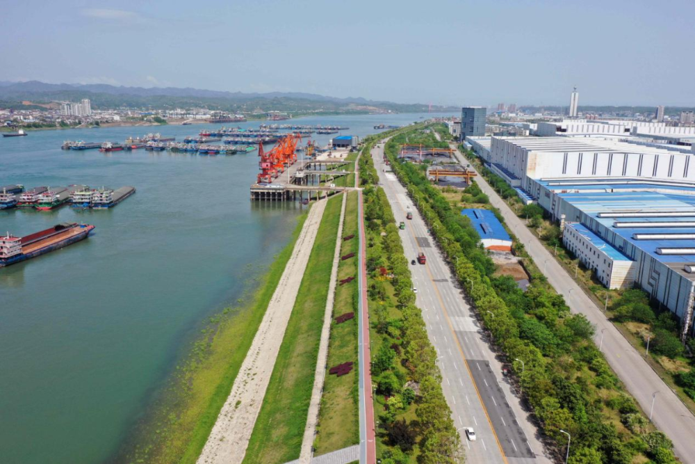 猇亭焕新记：从“化工味”到“菊花香”-3