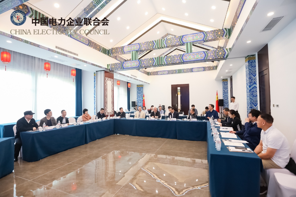 “柔性架构源网荷储一体化系统实施方案可行性研究-1