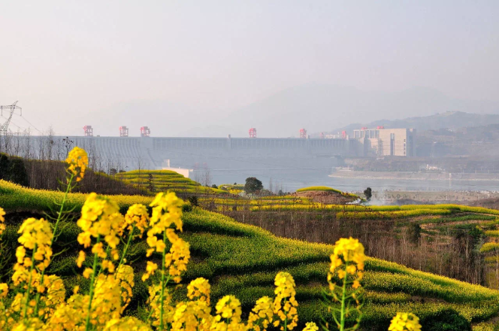 Three Gorges Project posts sound performance in Q1 2020-1