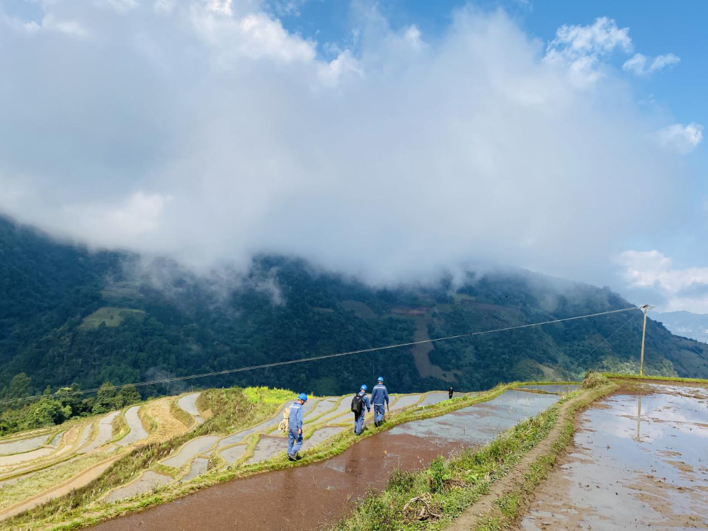 CSG Safeguards China’s Grain Growth-2