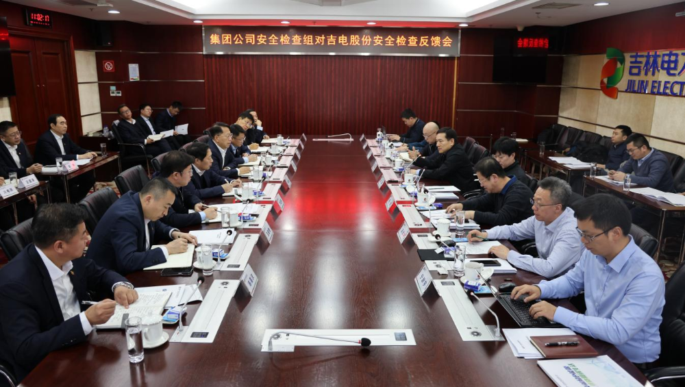 陈海斌到吉电股份开展安全生产督导检查-1
