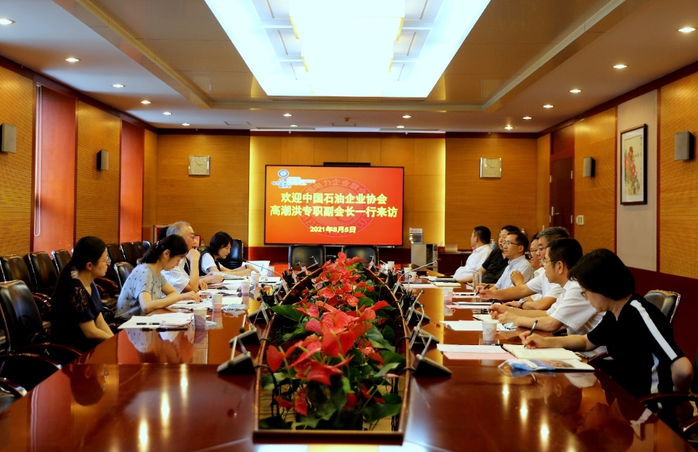 CEC Met the Delegation from China Petroleum Enterprises Association-1