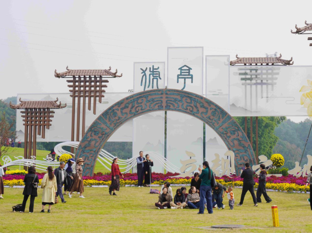 猇亭焕新记：从“化工味”到“菊花香”-1